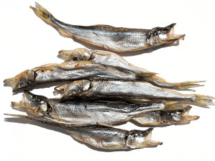 Оленина вяленая (строганина): Корюшка (мелкая) вяленая (Камчатка)